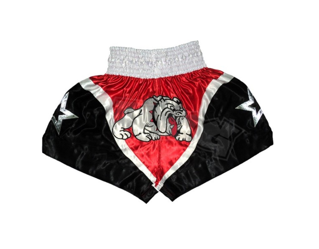 Sun And Vintage Moon Print Pattern Muay Thai Boxing Shorts